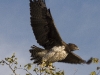 Abflug