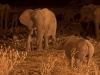 Close encounter