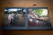 Mattes Fotopapier wirkt auch im Fotobuch edel